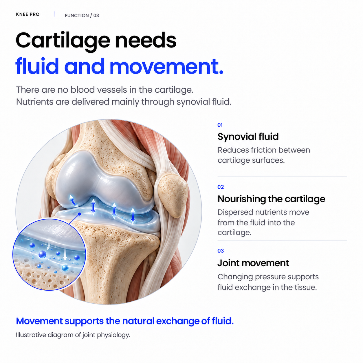 Why Knee Pro works