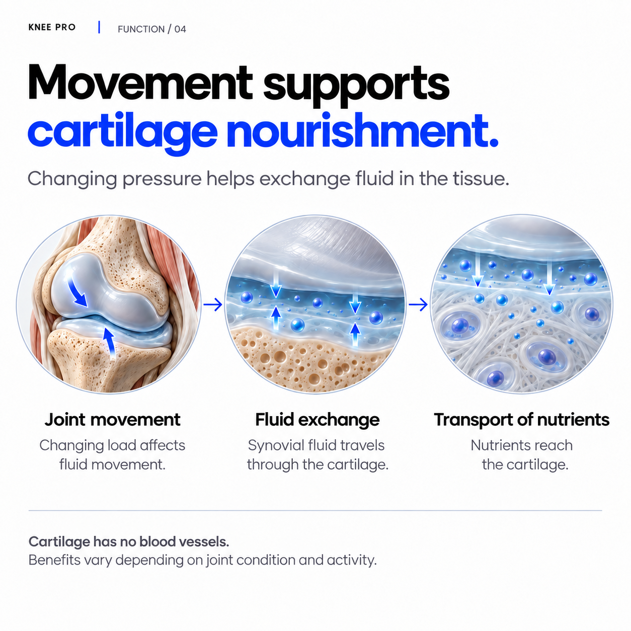 Why Knee Pro works